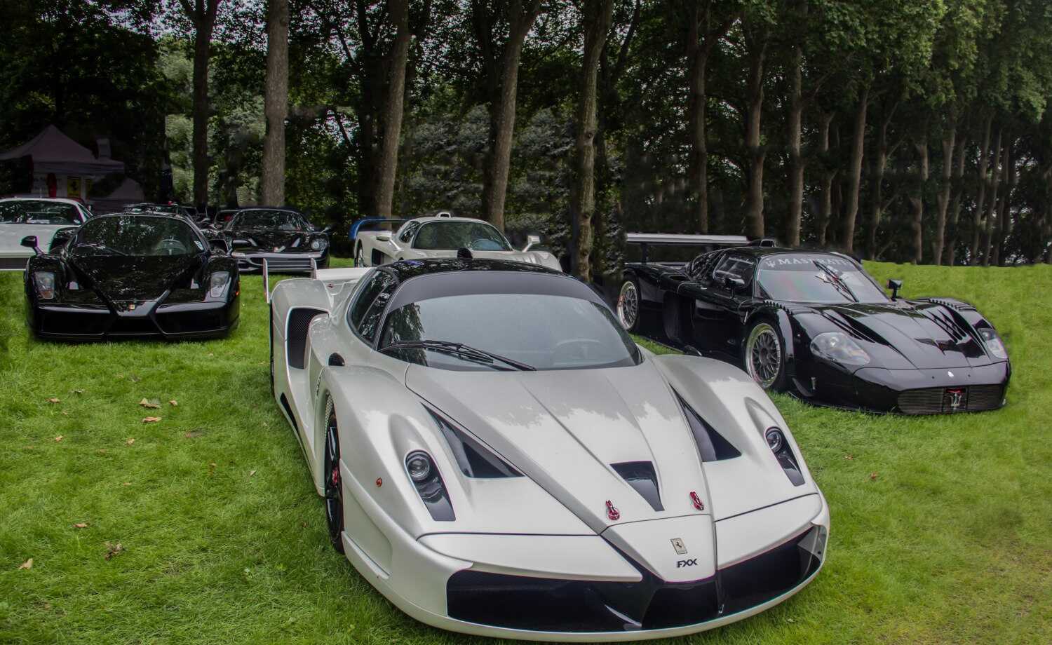 6.3 V12 (800 bg)