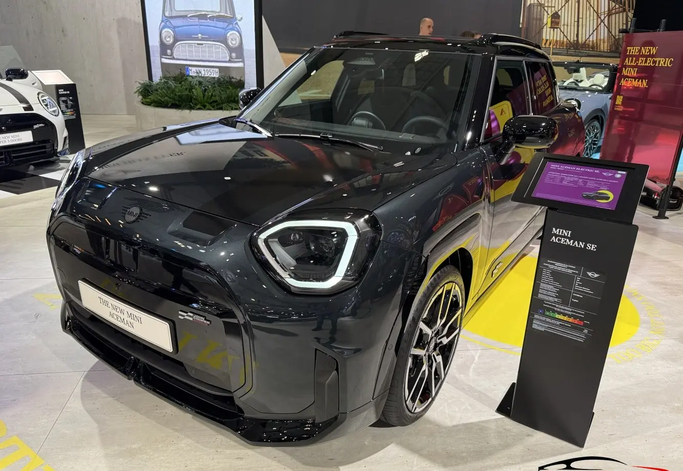 SE 49.2 kWh (218 bg) Electric