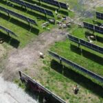 Dev Proje: 1.3 GW’lık Güneş Enerjisi Santrali 200 Bin Konutun Enerjisini Sağlayacak!