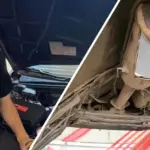 Araç Hırsızlarının Yeni Gözdesi: Katalitik Konvertörler Neden Bu Kadar Çok Çalınıyor?