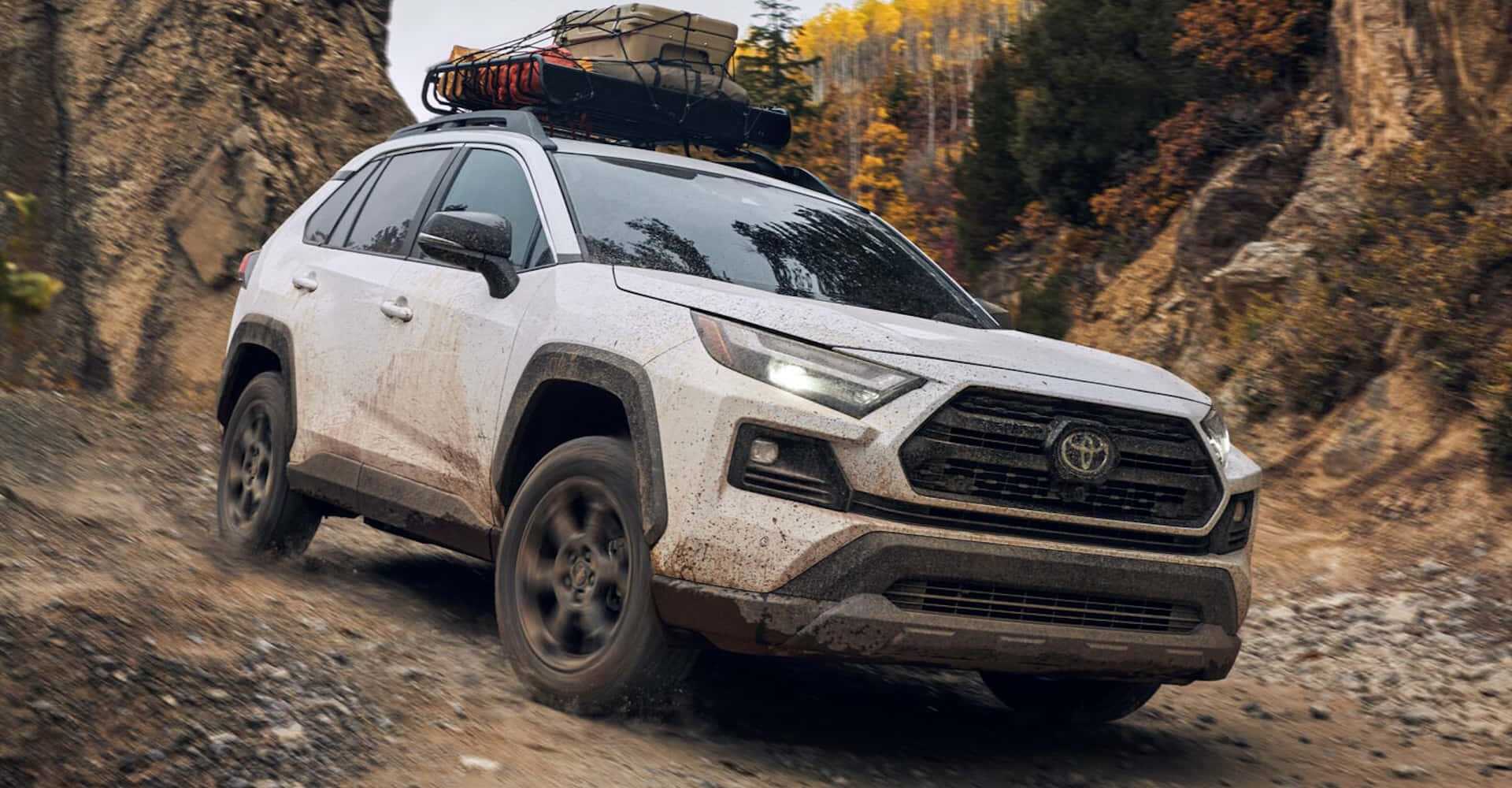 Milyonlarca Toyota ve Lexus Sahipleri Dikkat! Geri Görüş Kamerası Sorunu Nedeniyle Geri Çağrılıyor