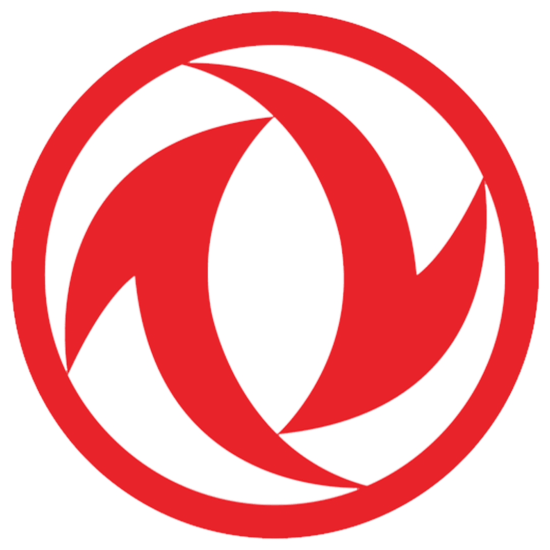 DFSK logo